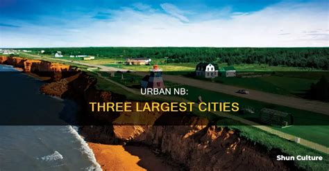 what is the most populated city in new brunswick|Urban Nb: Three Largest Cities .
